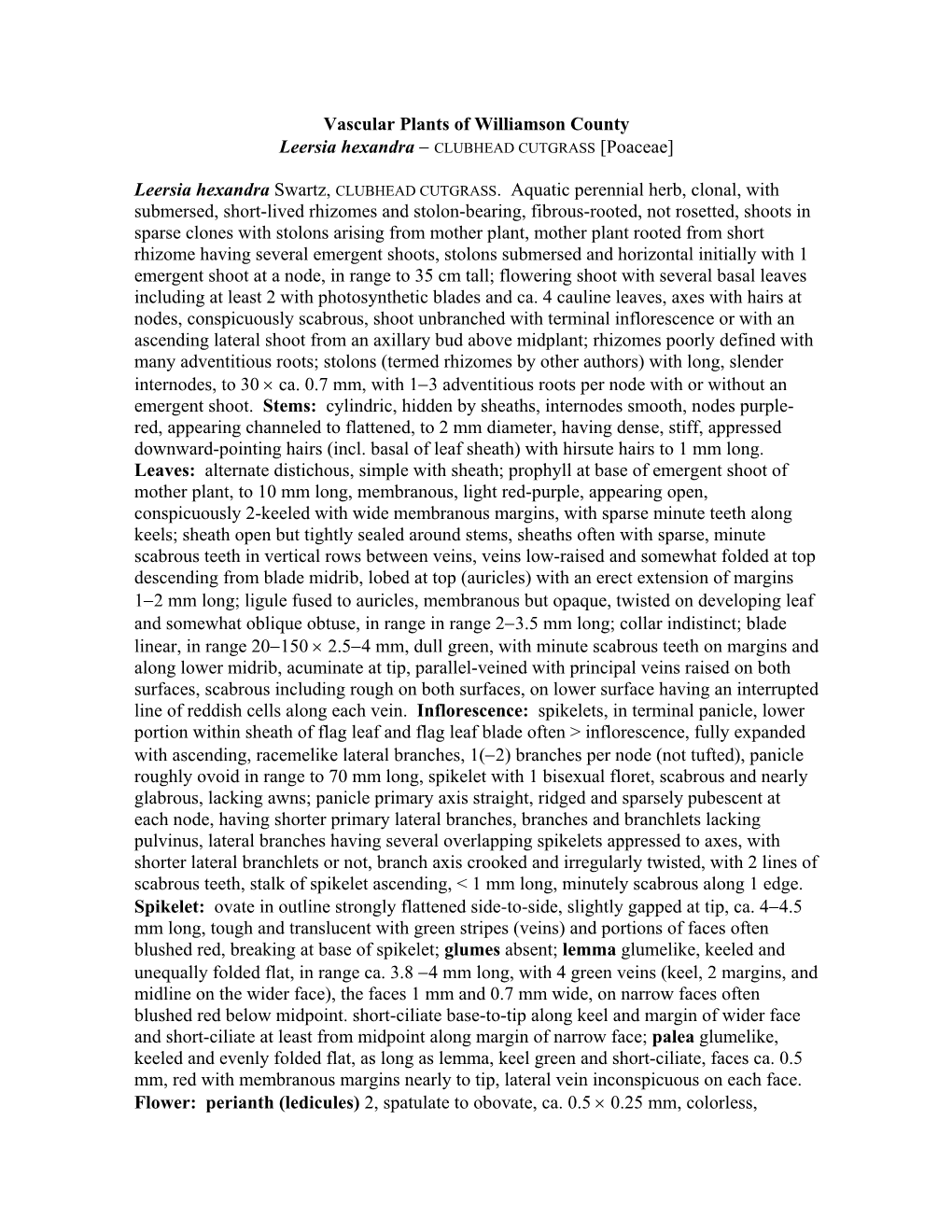 Vascular Plants of Williamson County Leersia Hexandra Swartz