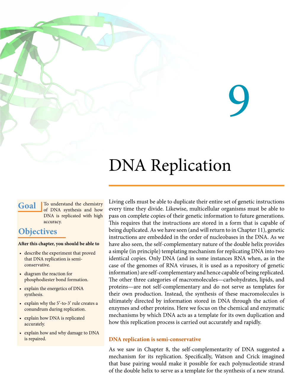 DNA Replication