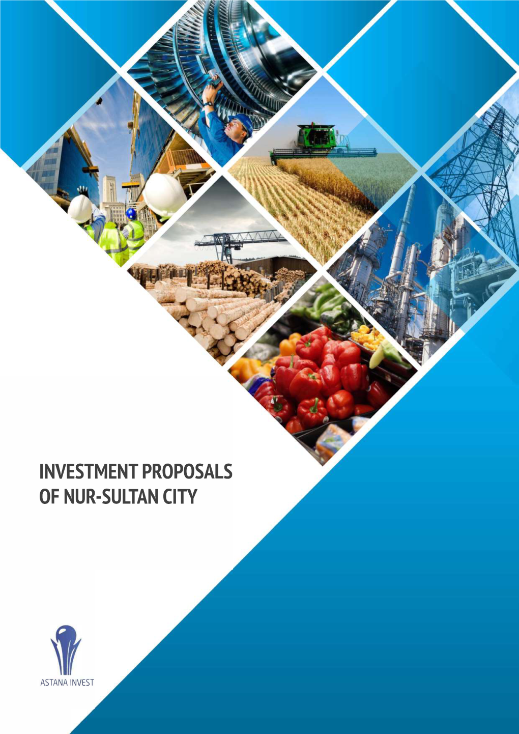 Investment Proposals of Nur-Sultan Сiту