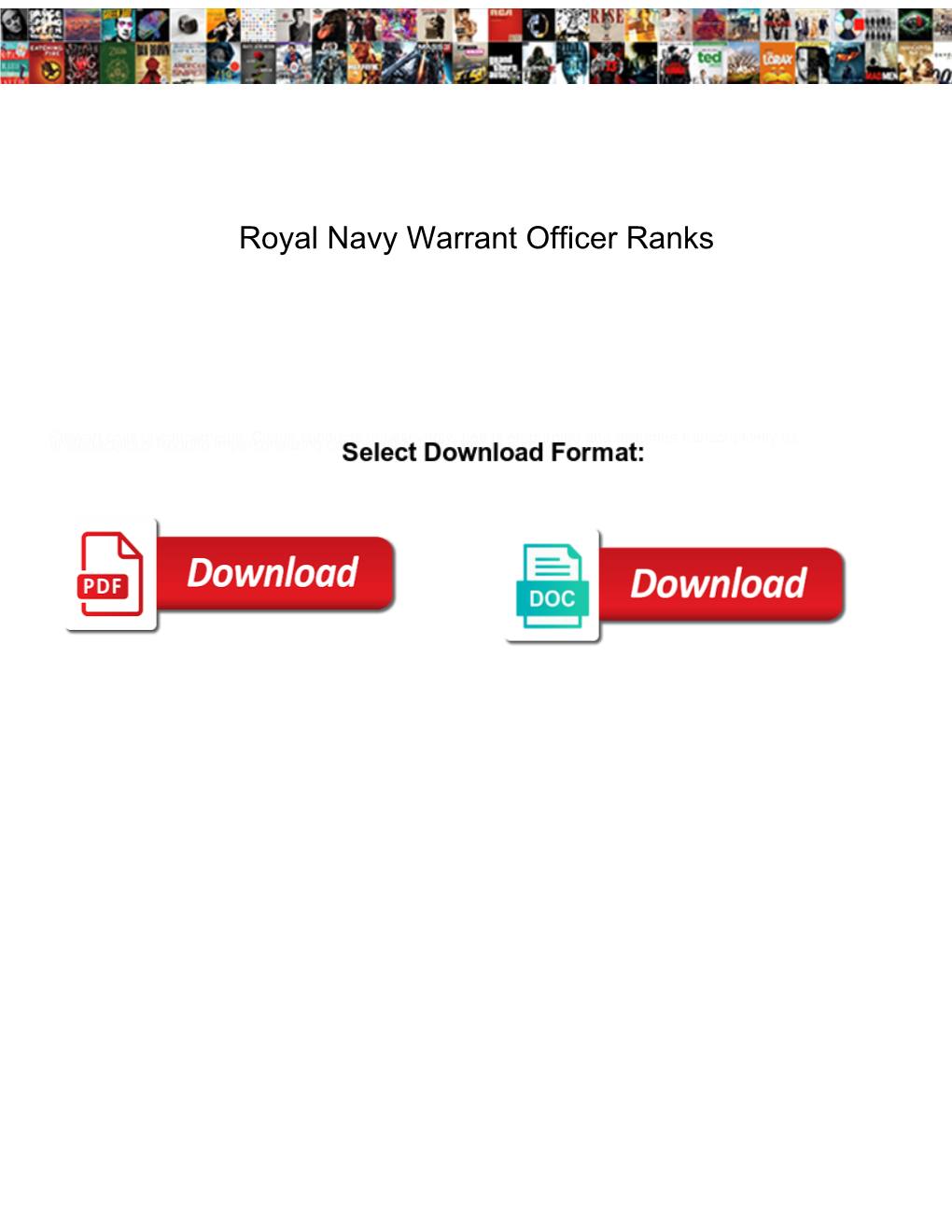 Royal Navy Warrant Officer Ranks