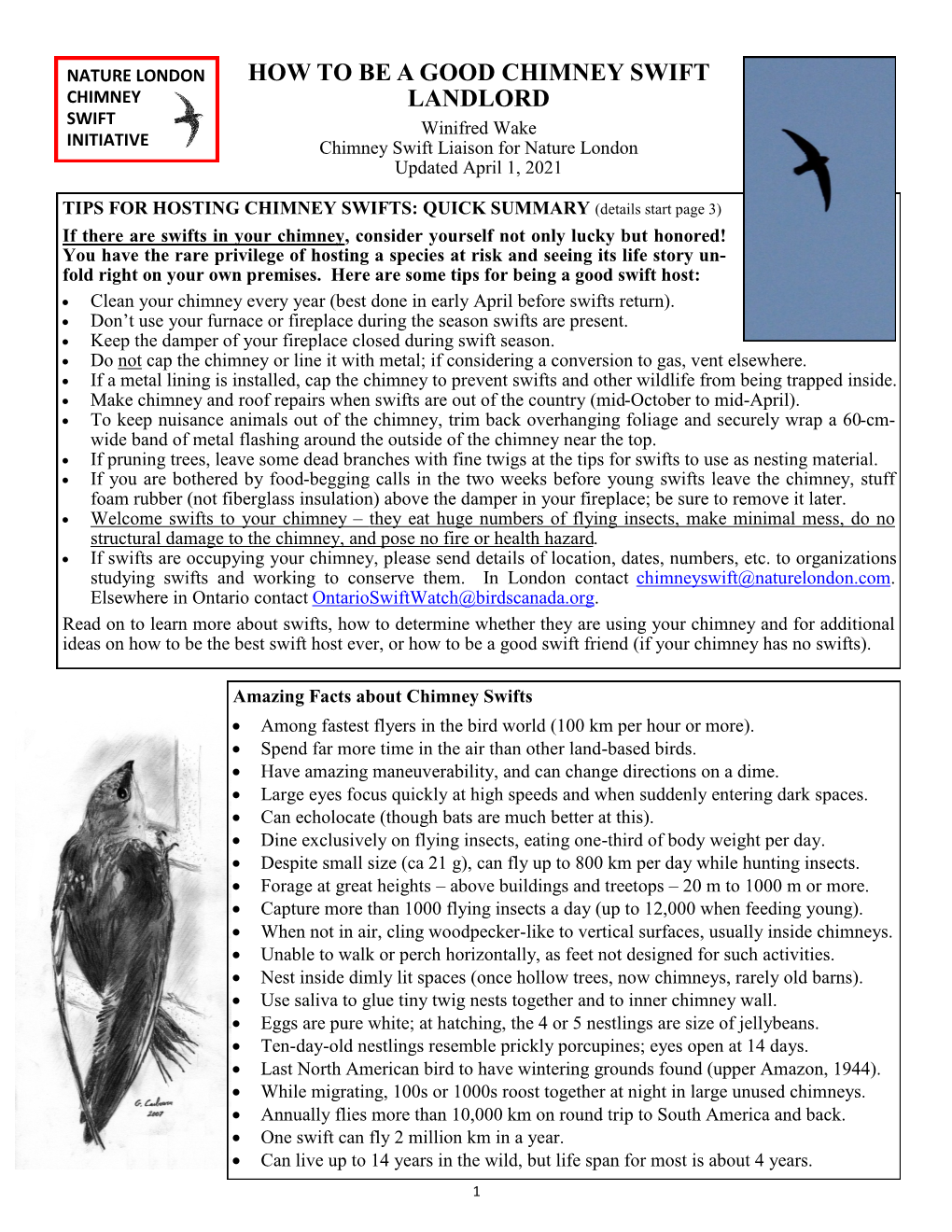 How to Be a Good Chimney Swift Landlord