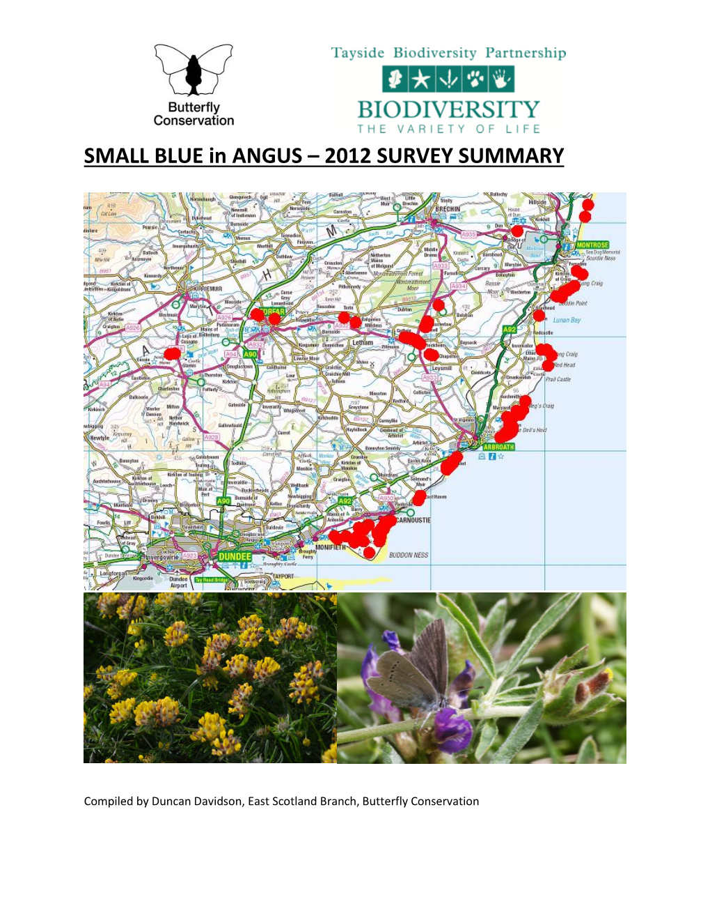 SMALL BLUE in ANGUS – 2012 SURVEY SUMMARY