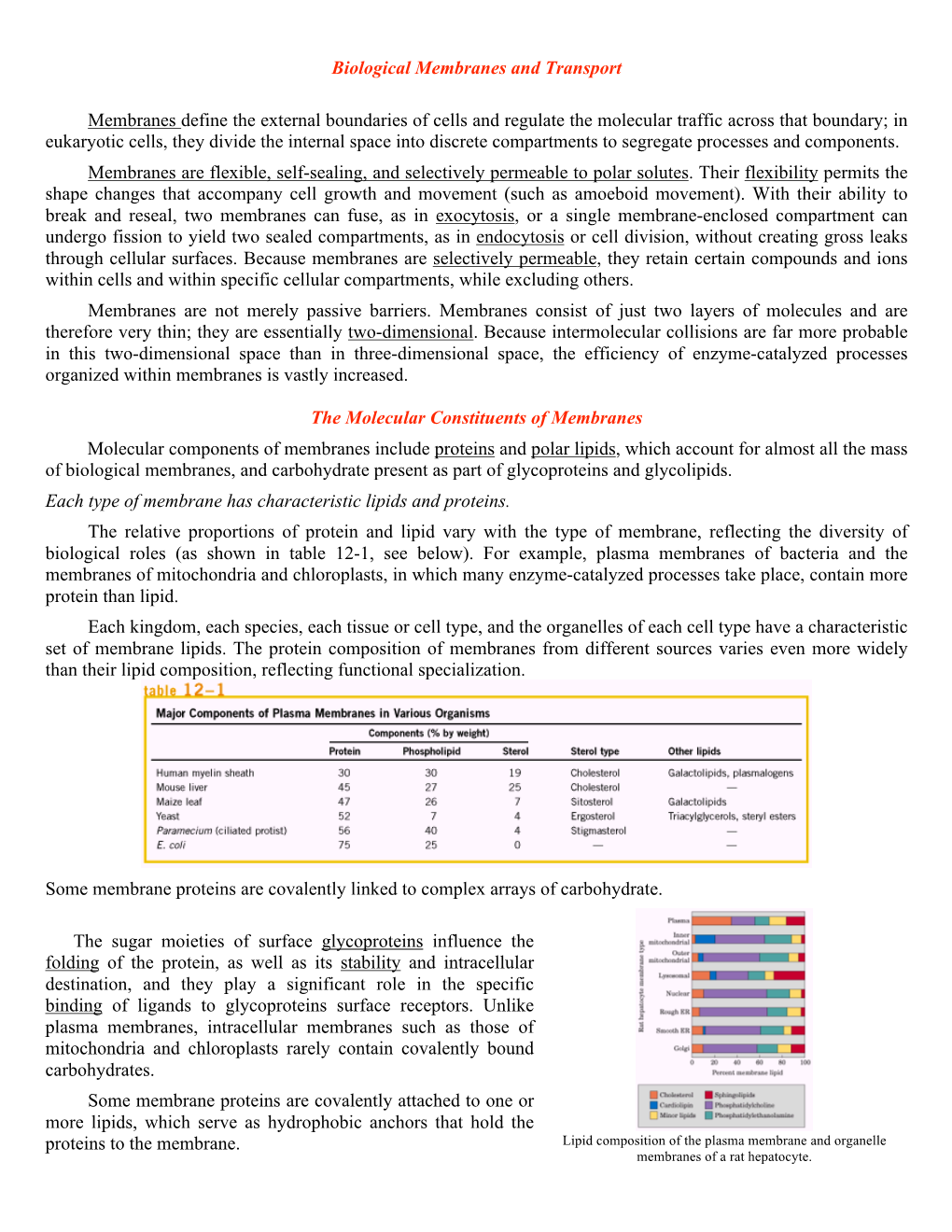 Biological Membranes and Transport Membranes Define the External