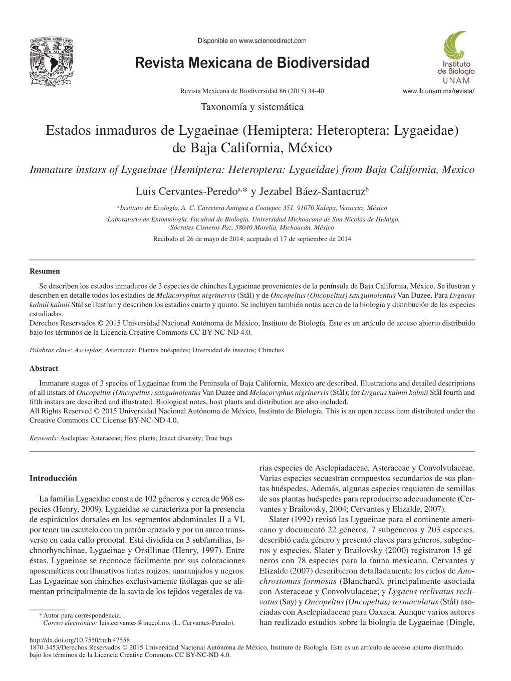 Estados Inmaduros De Lygaeinae (Hemiptera: Heteroptera