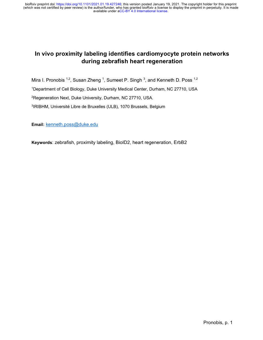 In Vivo Proximity Labeling Identifies Cardiomyocyte Protein Networks During Zebrafish Heart Regeneration