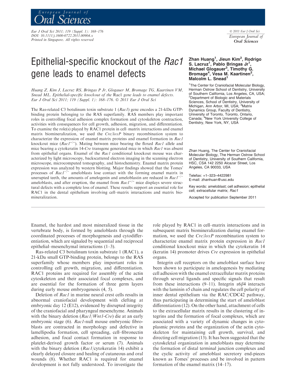 Epithelial-Specific Knockout of the Rac1 Gene Leads to Enamel Defects