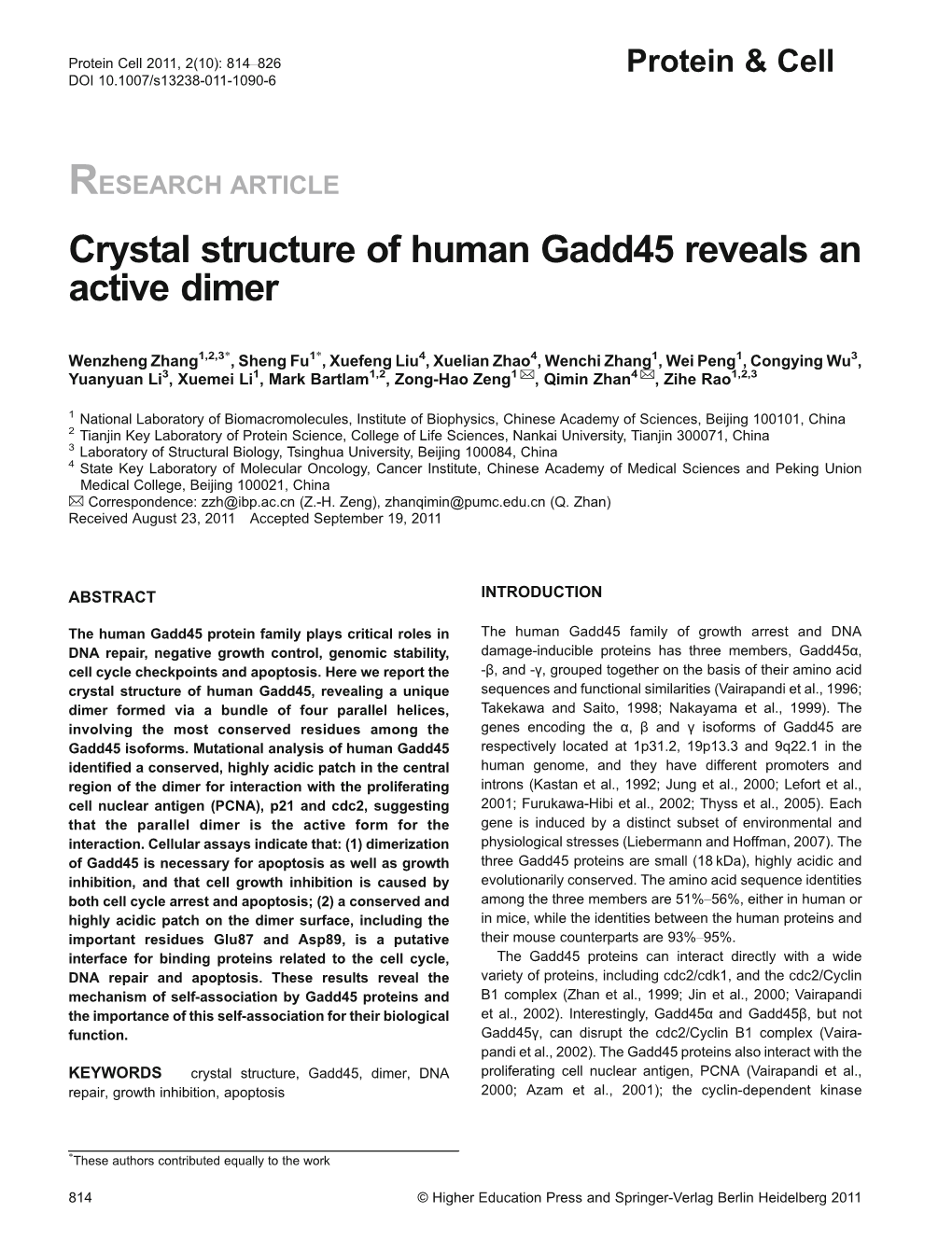 Crystal Structure of Human Gadd45 Reveals an Active Dimer