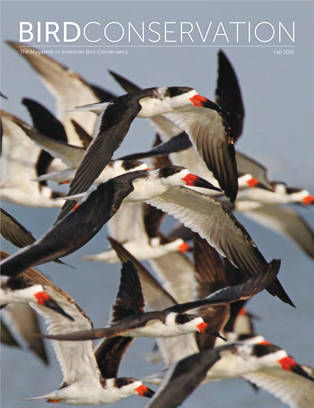 BIRDCONSERVATION the Magazine of American Bird Conservancy Fall 2016 BIRD’S EYE VIEW a Life Shaped by Migration