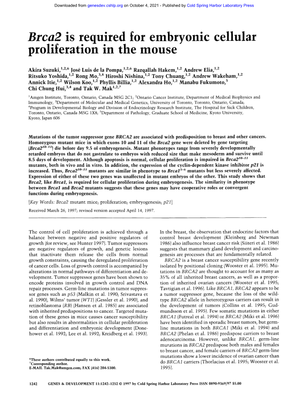 Brca2 Is Required for Embryonic Cellular Proliferation in the Mouse