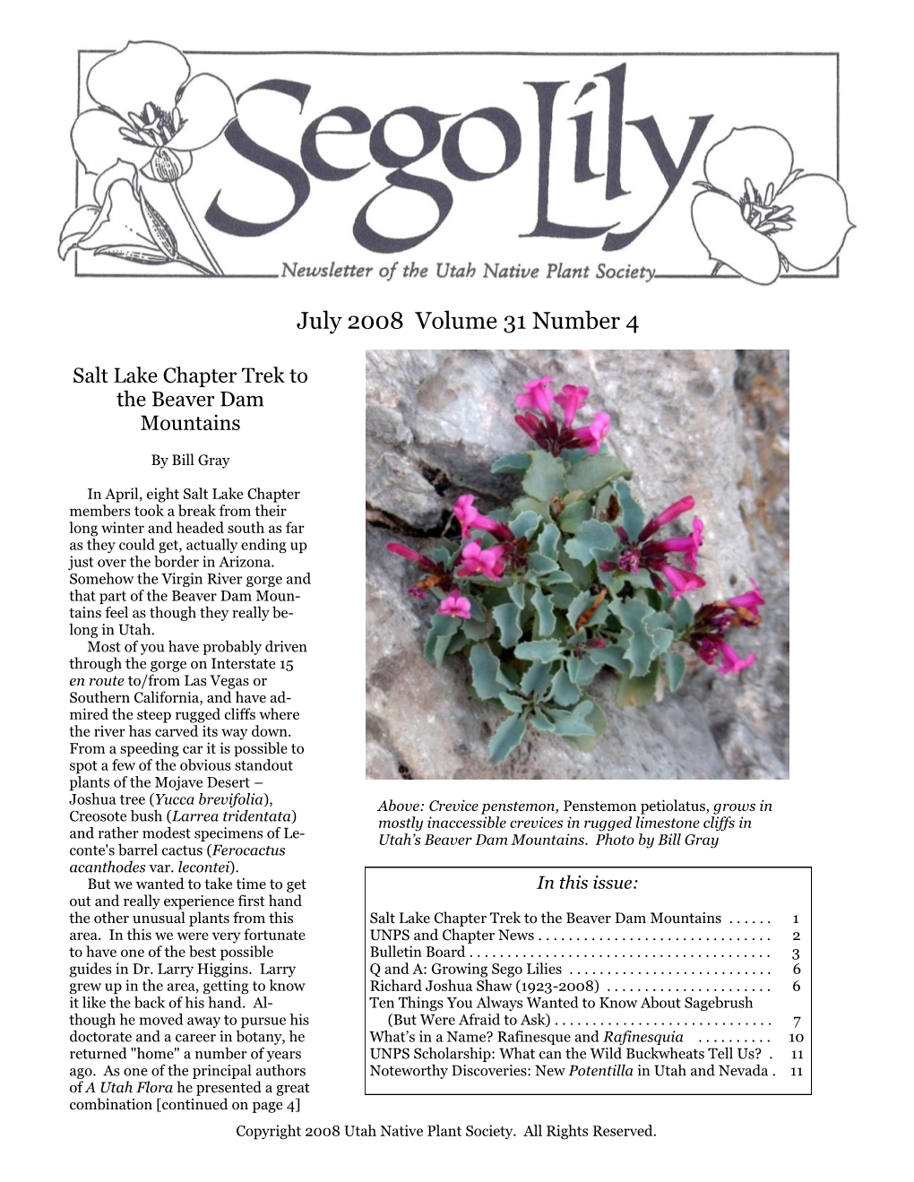 July 2008 Volume 31 Number 4