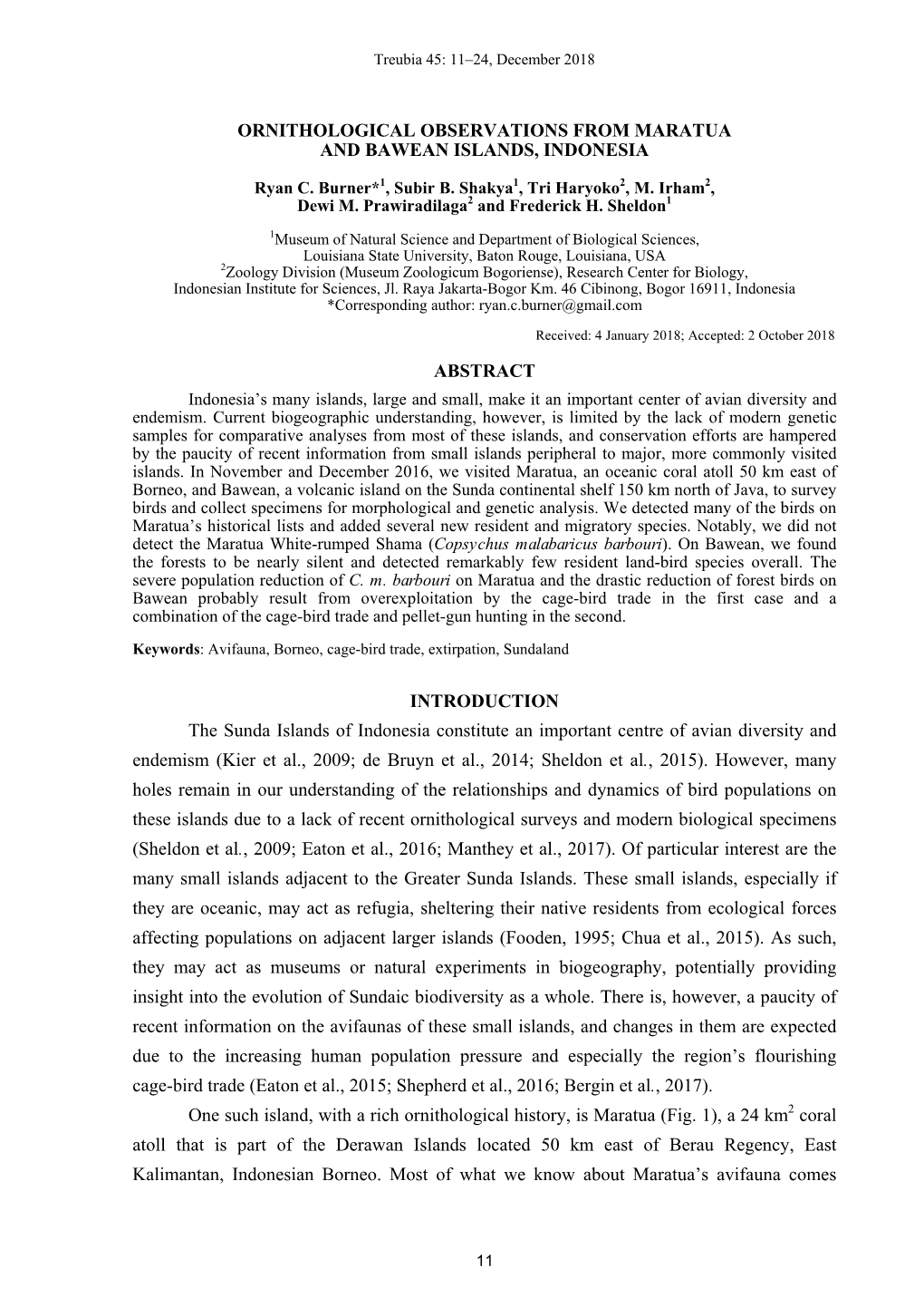 Ornithological Observations from Maratua and Bawean Islands, Indonesia