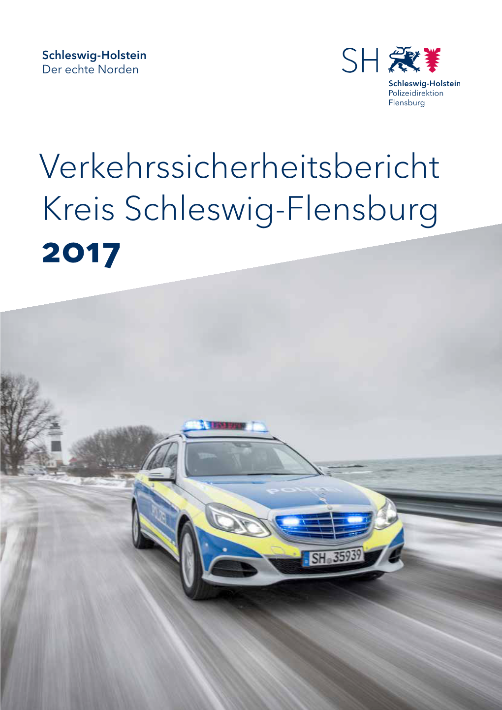 Verkehrssicherheitsbericht Kreis Schleswig-Flensburg 2017