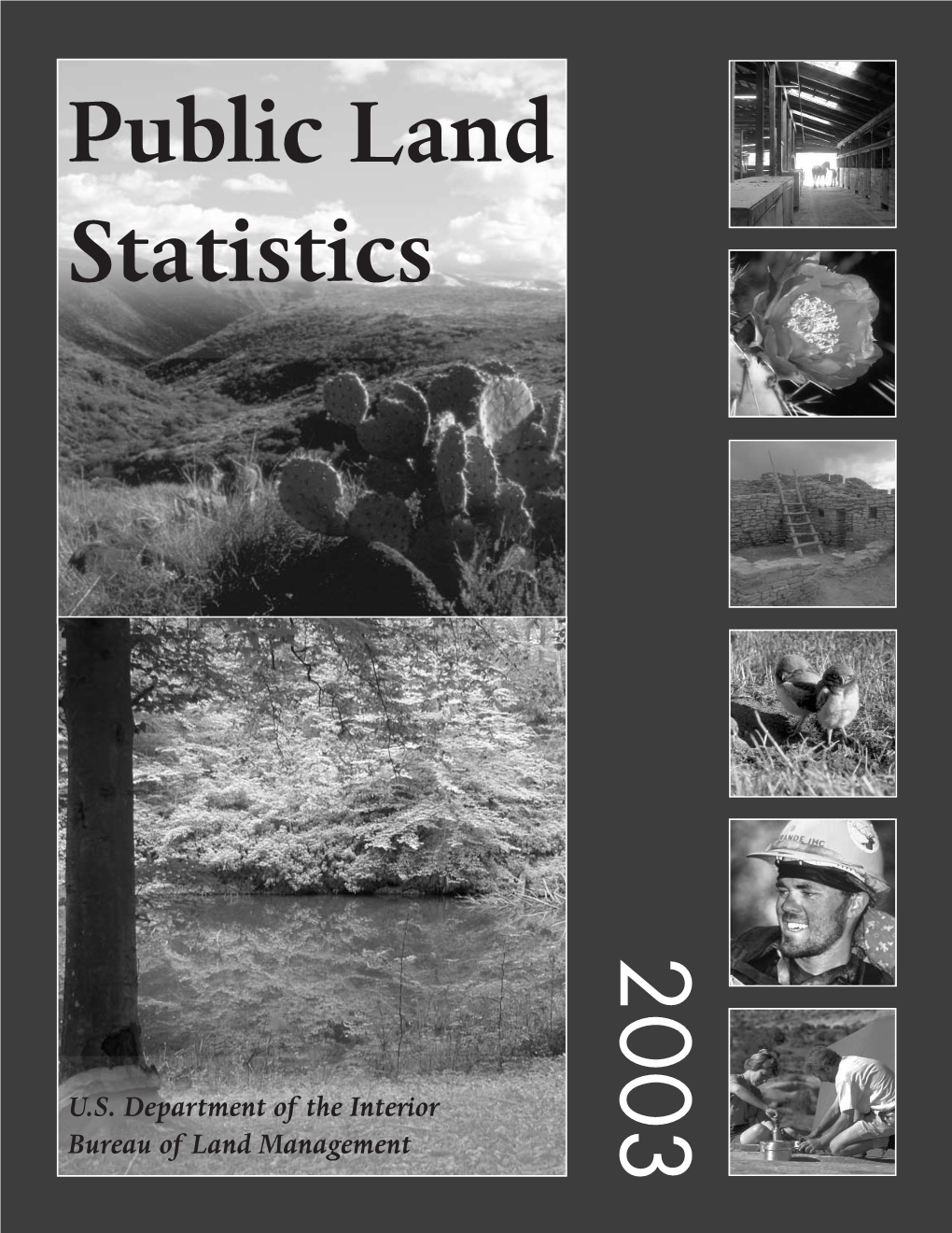 Public Land Statistics 2003