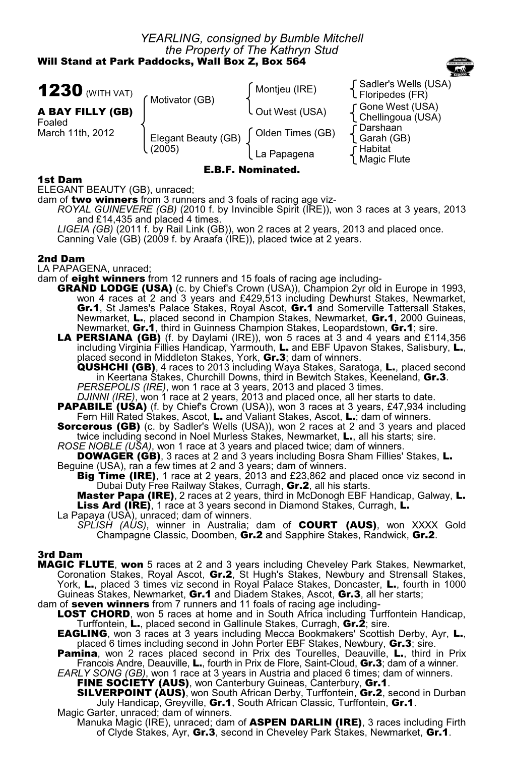 YEARLING, Consigned by Bumble Mitchell the Property of the Kathryn Stud Will Stand at Park Paddocks, Wall Box Z, Box 564