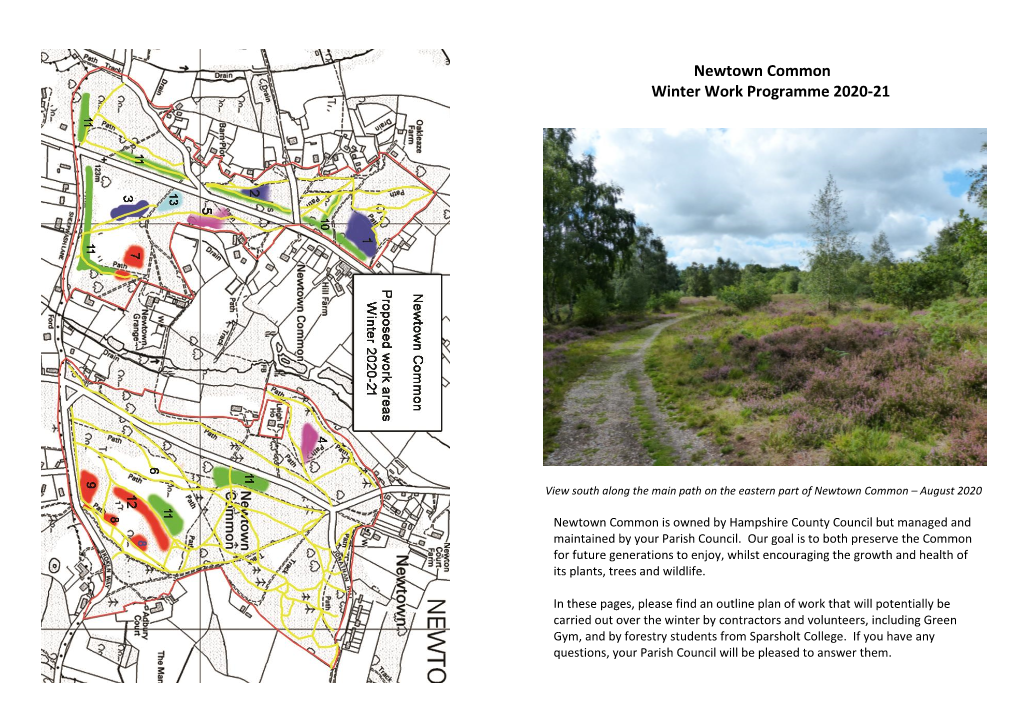 Newtown Common Winter Work Programme 2020-21