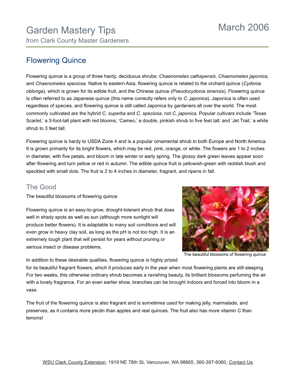 Garden Mastery Tips March 2006 from Clark County Master Gardeners