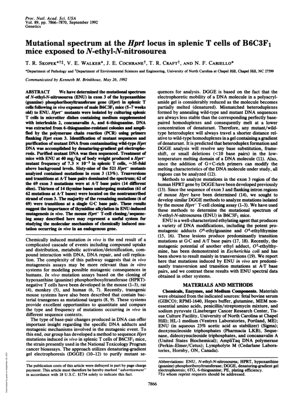 Mice Exposed to N-Ethyl-N-Nitrosourea T