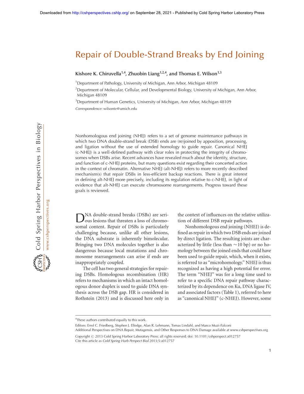 Repair of Double-Strand Breaks by End Joining