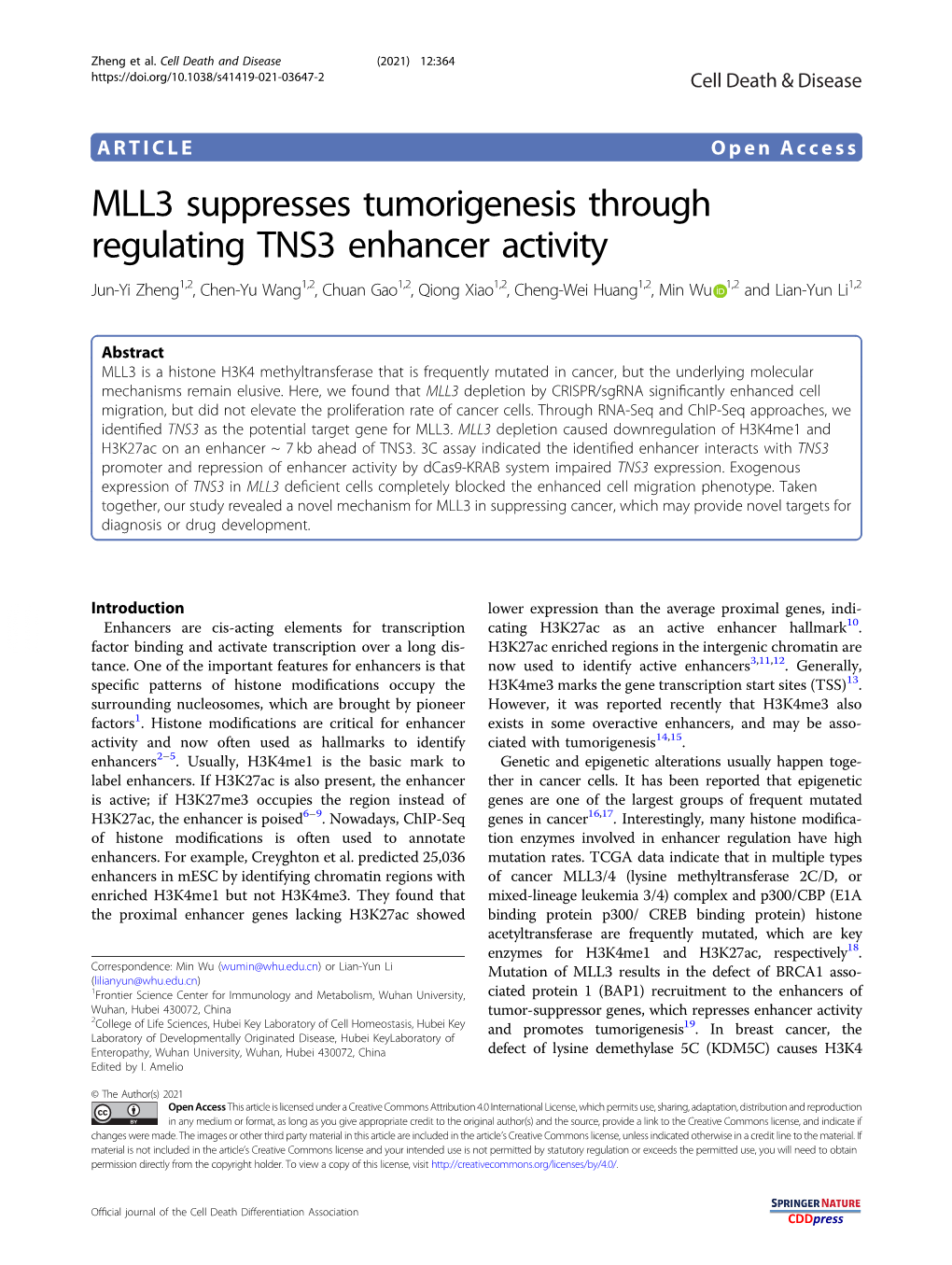 MLL3 Suppresses Tumorigenesis Through Regulating TNS3 Enhancer Activity