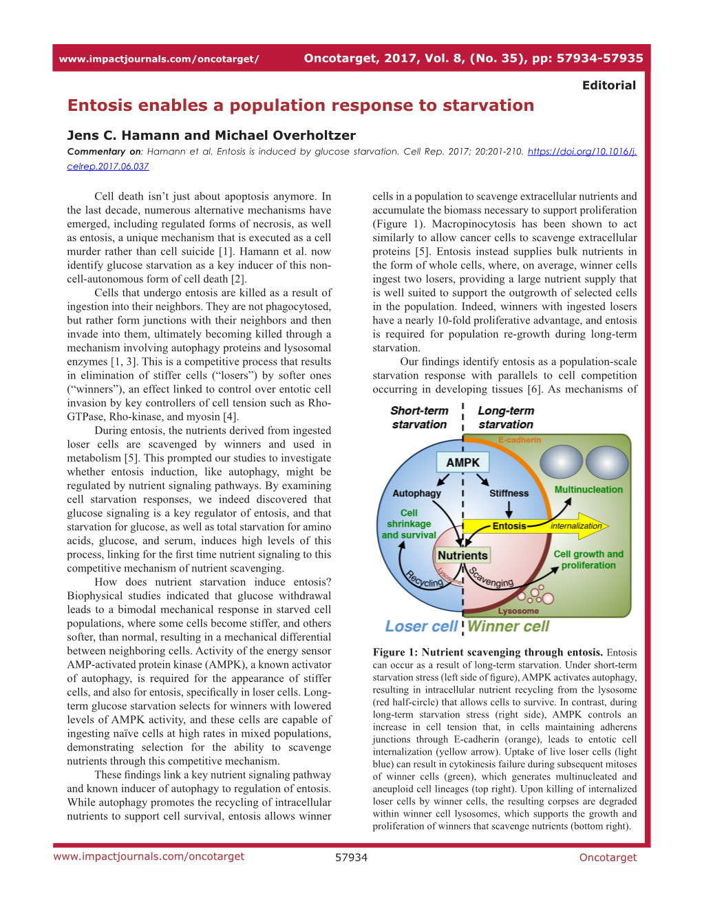 Entosis Enables a Population Response to Starvation