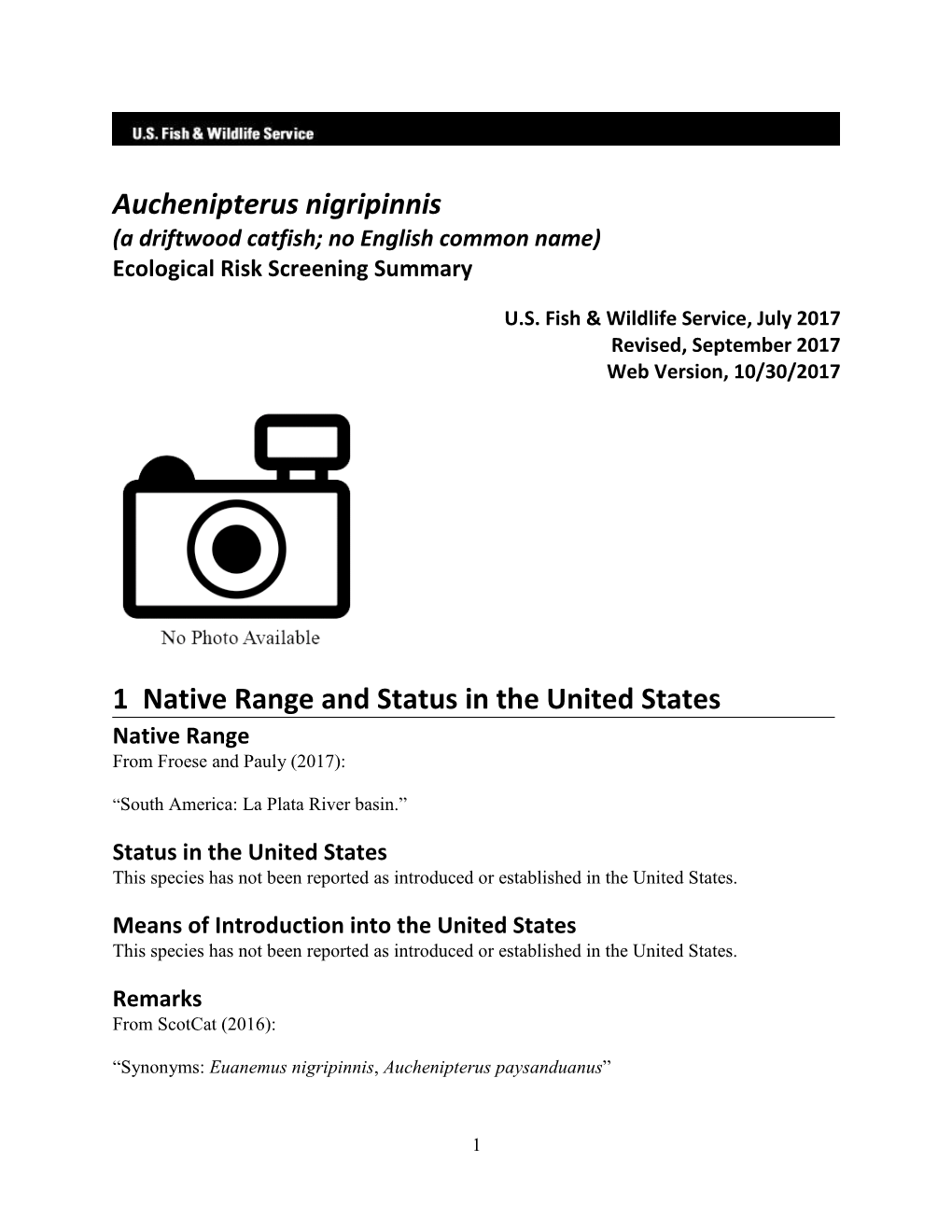 Auchenipterus Nigripinnis (A Driftwood Catfish; No English Common Name) Ecological Risk Screening Summary