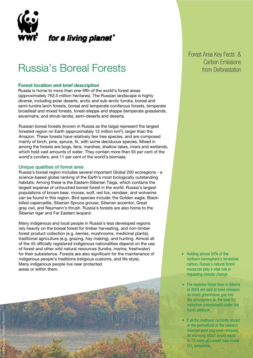 Russia's Boreal Forests