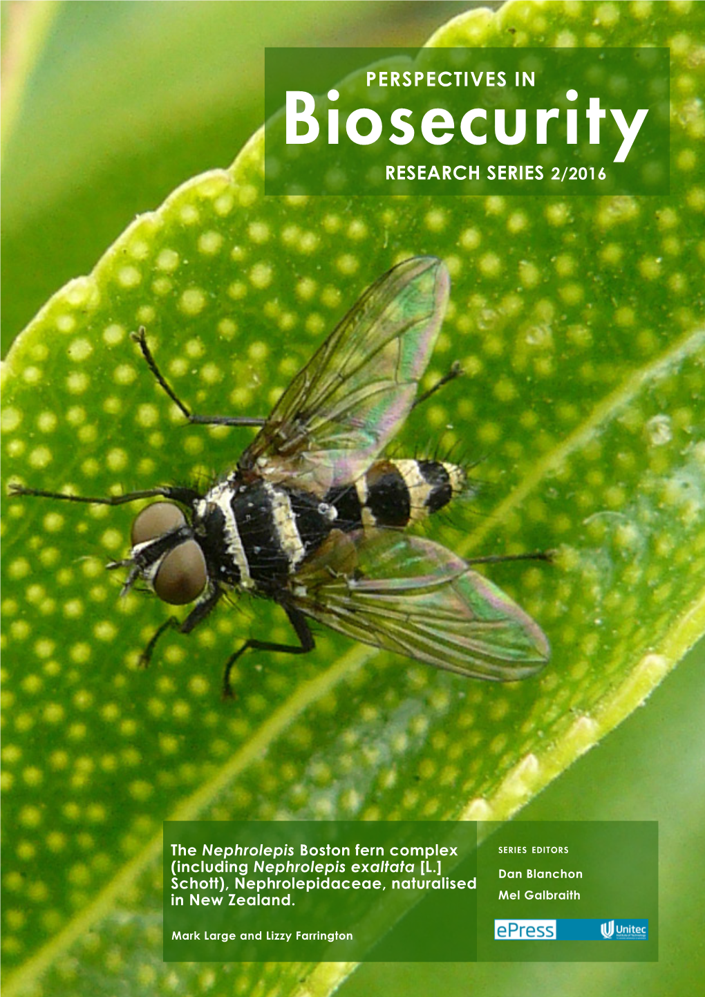 The Nephrolepis Boston Fern Complex Series Editors (Including Nephrolepis Exaltata [L.] Dan Blanchon Schott), Nephrolepidaceae, Naturalised in New Zealand