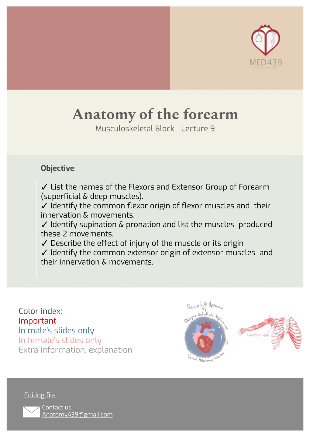Anatomy of the Forearm Musculoskeletal Block - Lecture 9