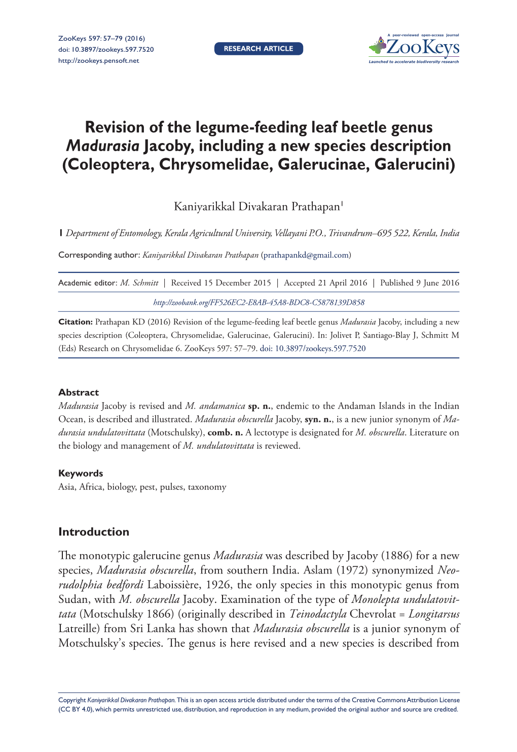 ﻿Revision of the Legume-Feeding Leaf Beetle Genus Madurasia Jacoby