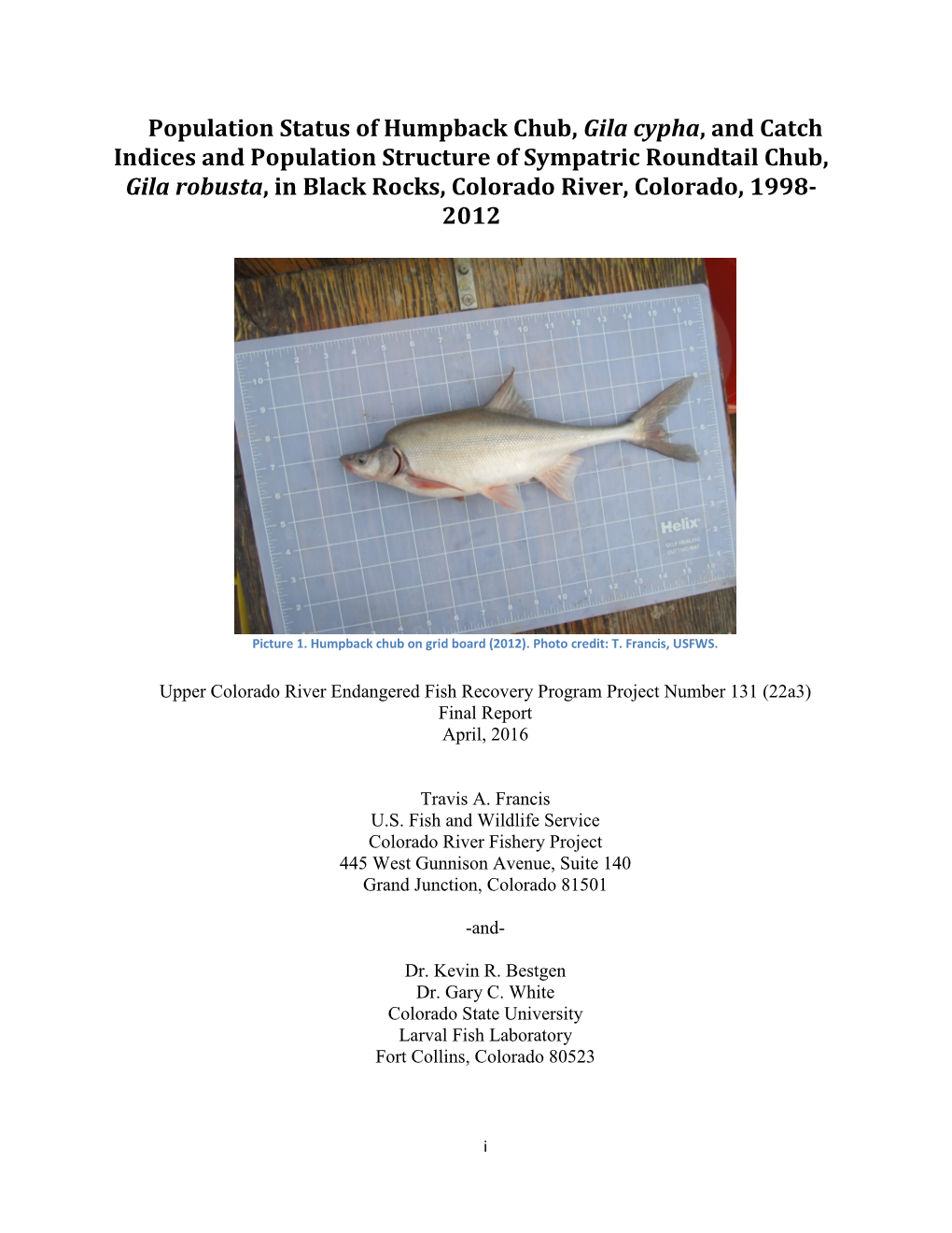 Population Status of Humpback Chub, Gila Cypha, and Catch