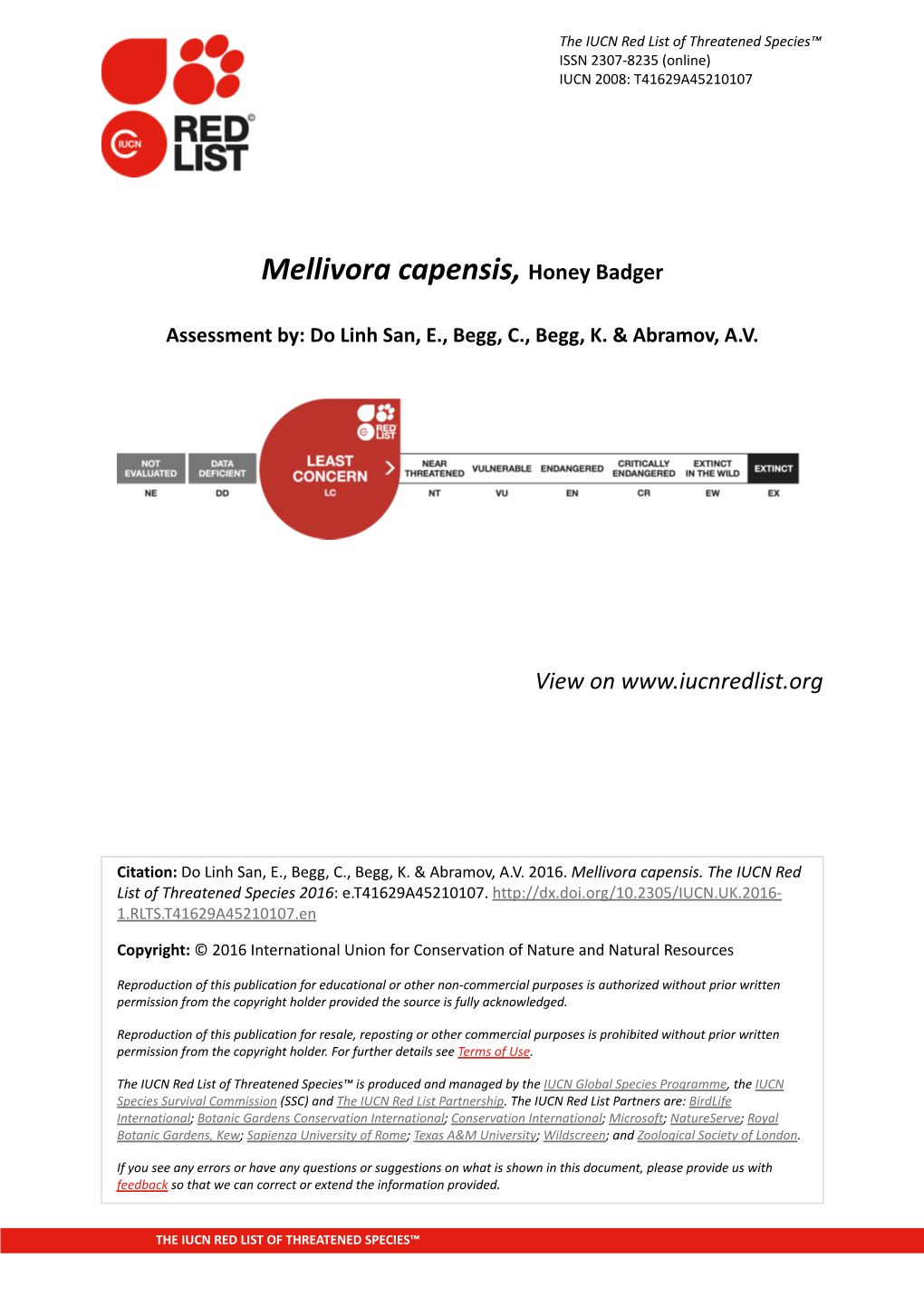 Mellivora Capensis, Honey Badger