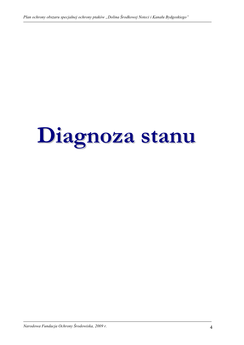 Dokumentacja – Diagnoza