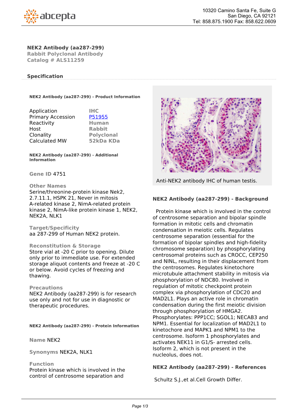 NEK2 Antibody (Aa287-299) Rabbit Polyclonal Antibody Catalog # ALS11259