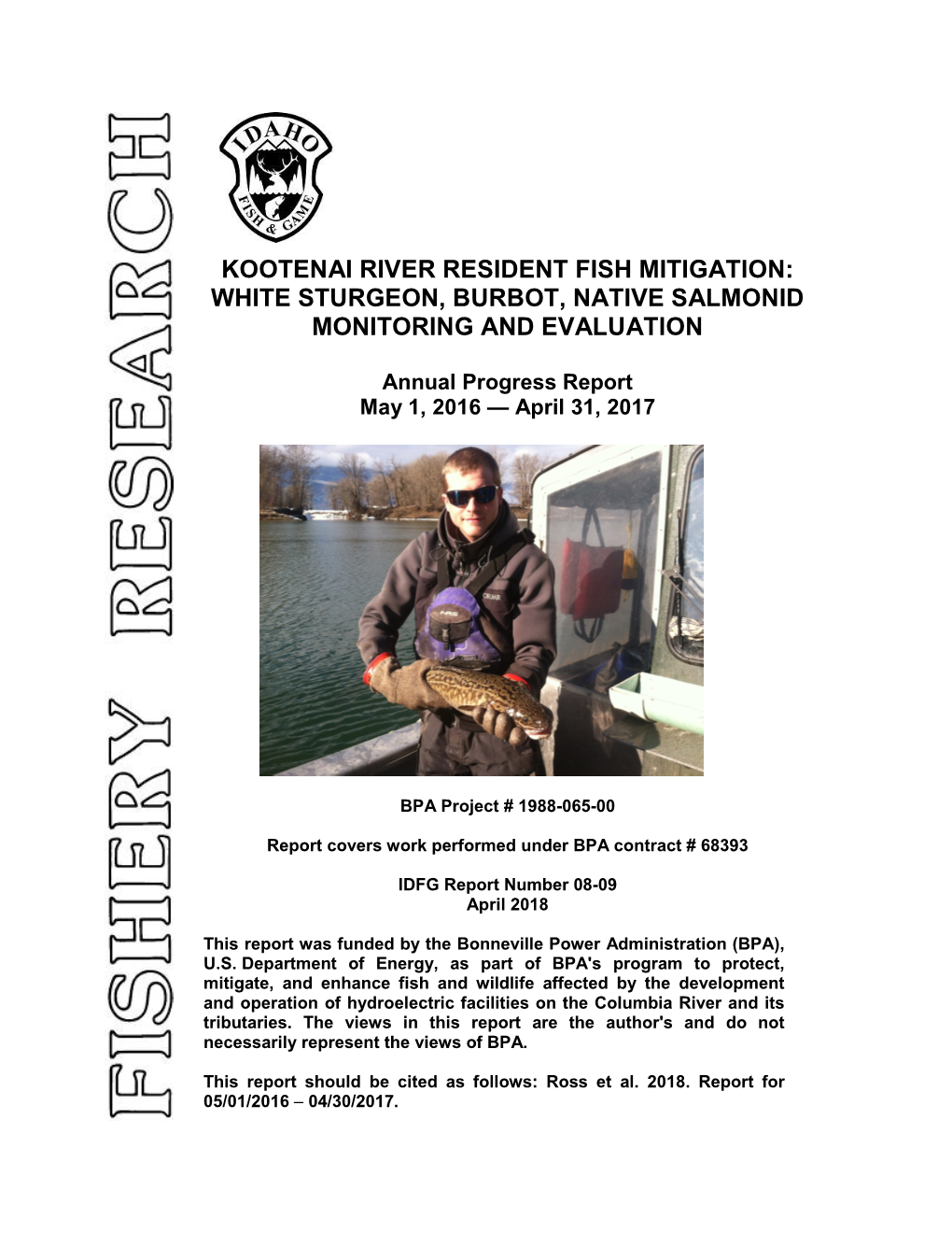 Kootenai River Resident Fish Mitigation: White Sturgeon, Burbot, Native Salmonid Monitoring and Evaluation