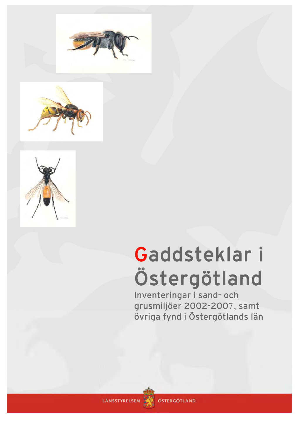 Gaddsteklar I Östergötland – Inventeringar I Sand- Och Grusmiljöer 2002-2007, Samt Övriga Fynd I Östergötlands Län