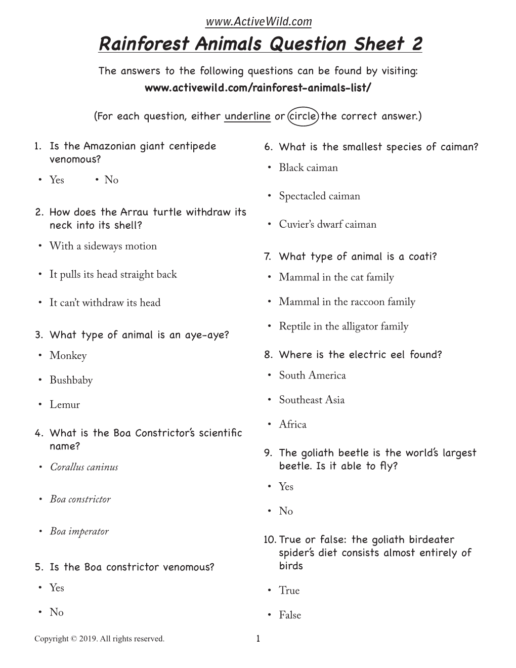 Rainforest Animals Question Sheet 2 the Answers to the Following Questions Can Be Found by Visiting