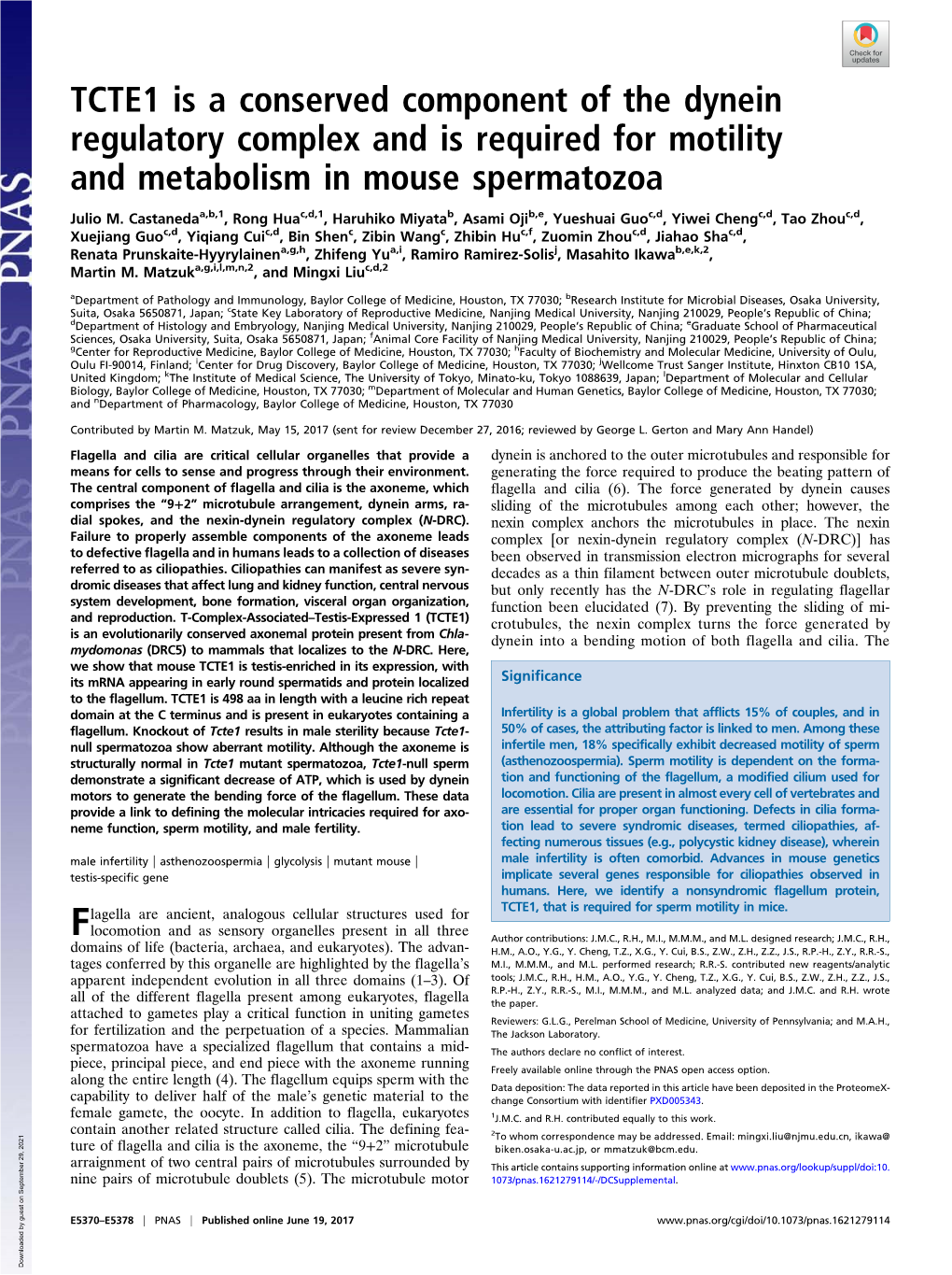 TCTE1 Is a Conserved Component of the Dynein Regulatory Complex and Is Required for Motility and Metabolism in Mouse Spermatozoa