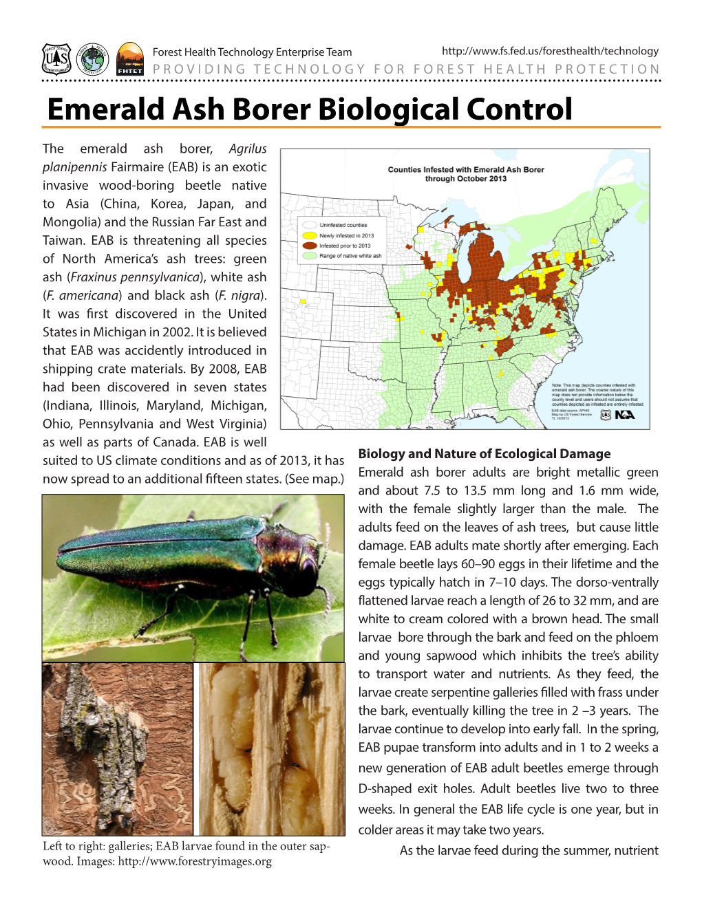 Emerald Ash Borer Biological Control