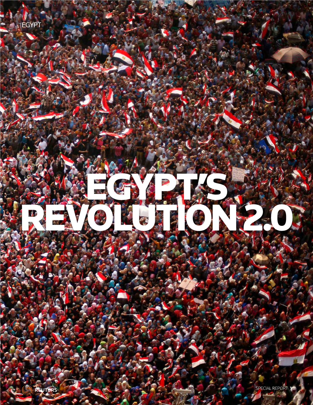 EGYPT-PROTESTS-DOWNFALL.Pdf