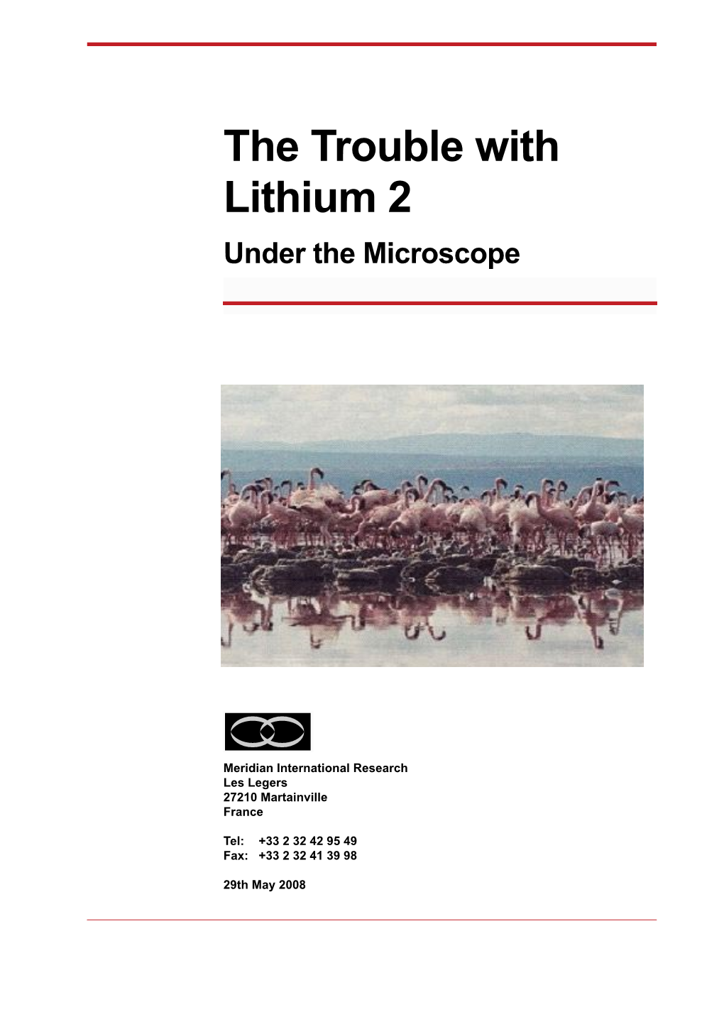 Lithium 2 Under the Microscope