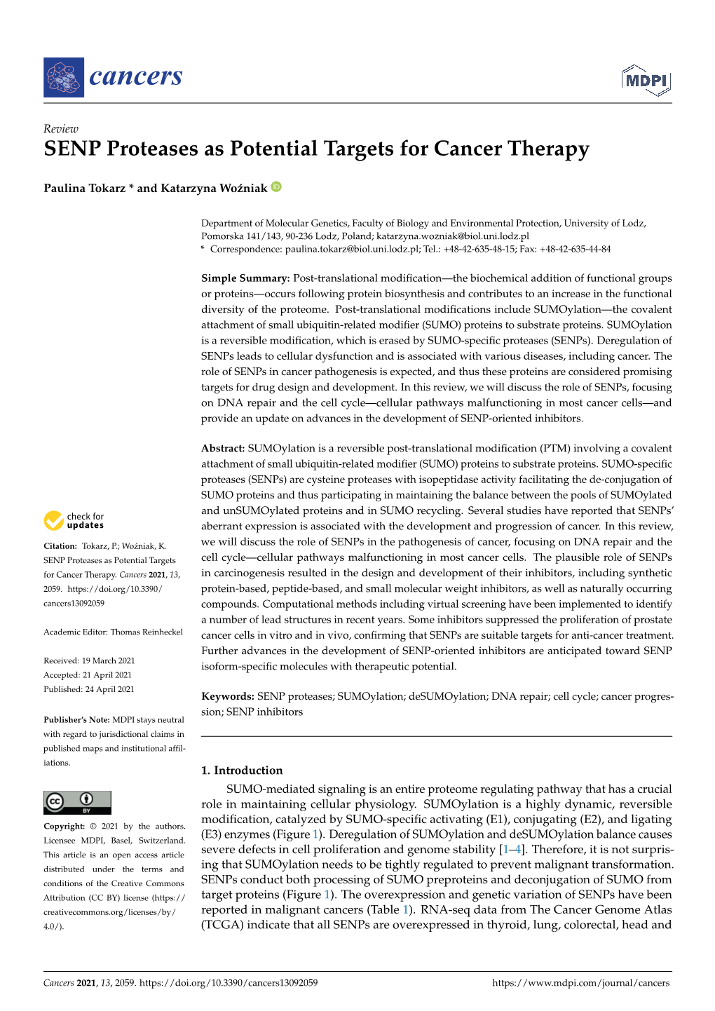 SENP Proteases As Potential Targets for Cancer Therapy