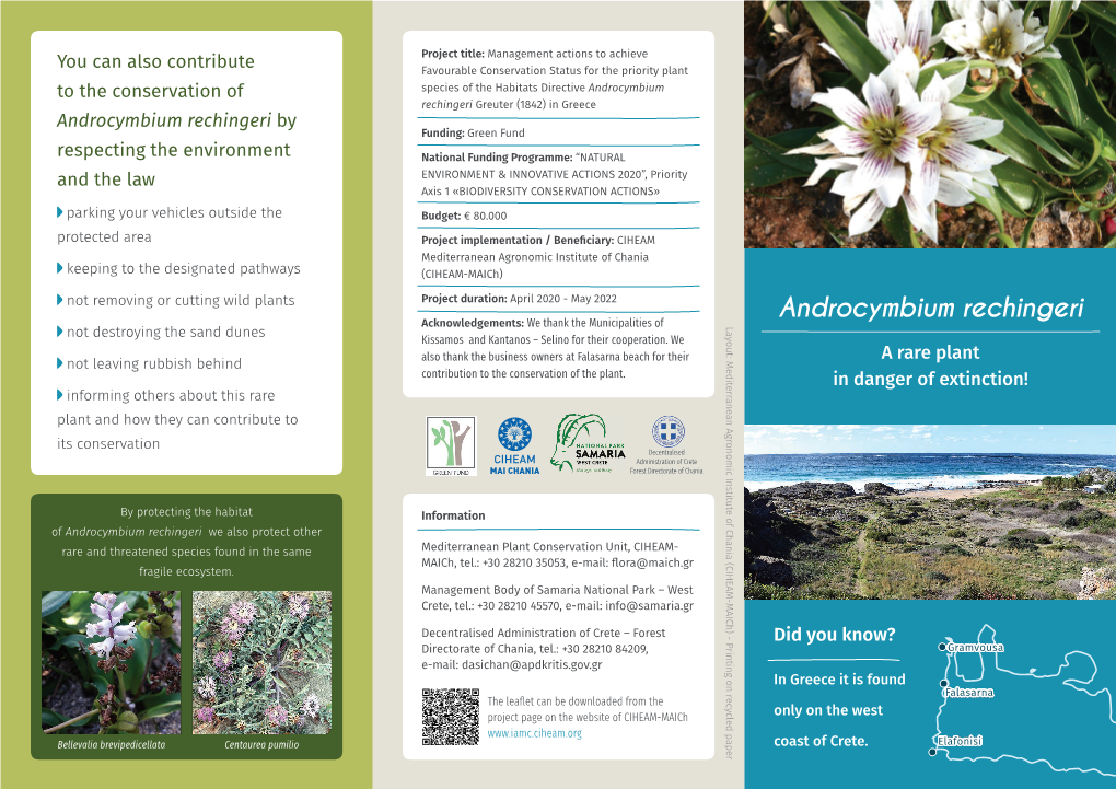 Androcymbium Rechingeri Greuter (1842) in Greece Androcymbium Rechingeri by Funding: Green Fund