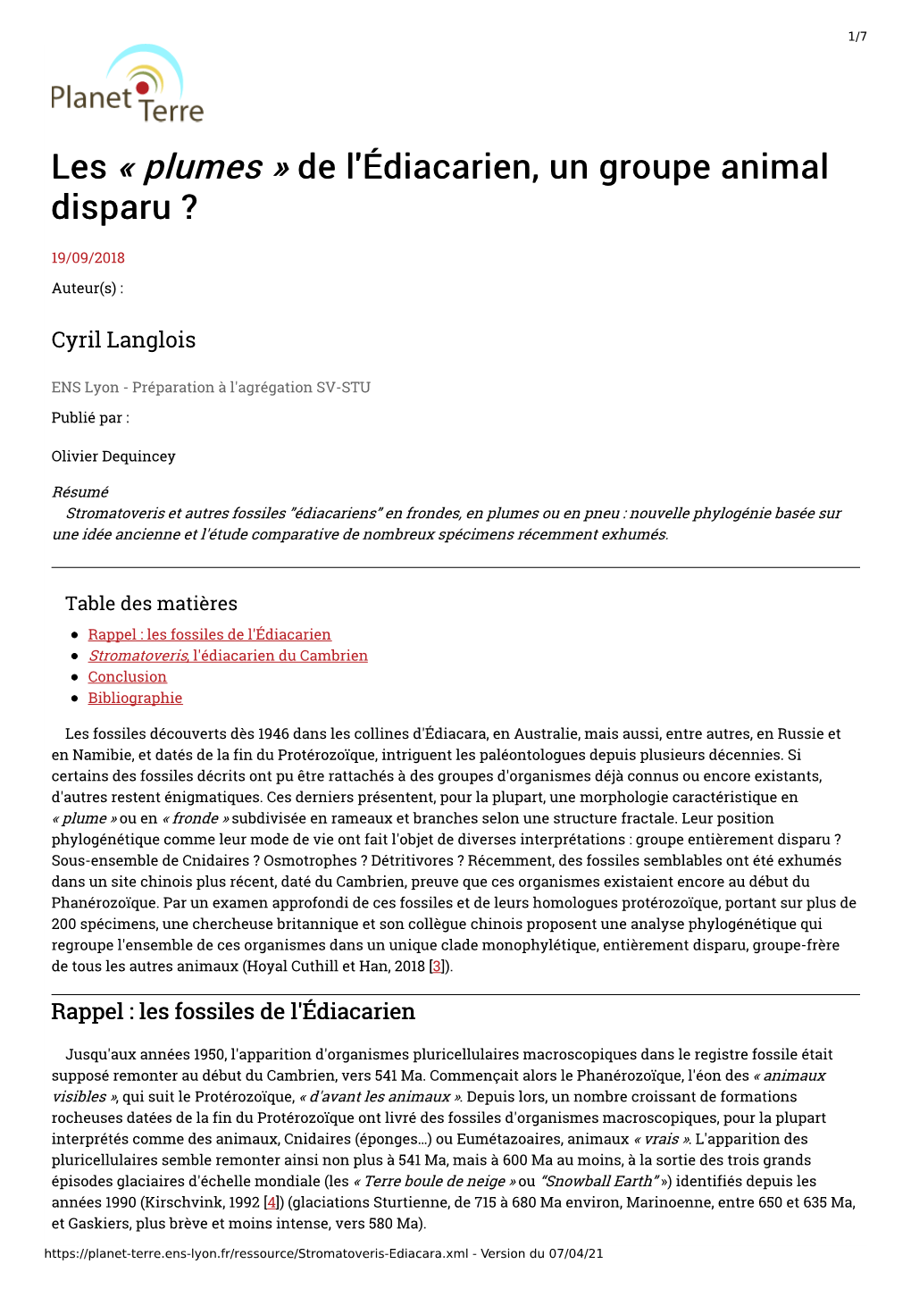 Les « Plumes » De L'édiacarien, Un Groupe Animal Disparu ?