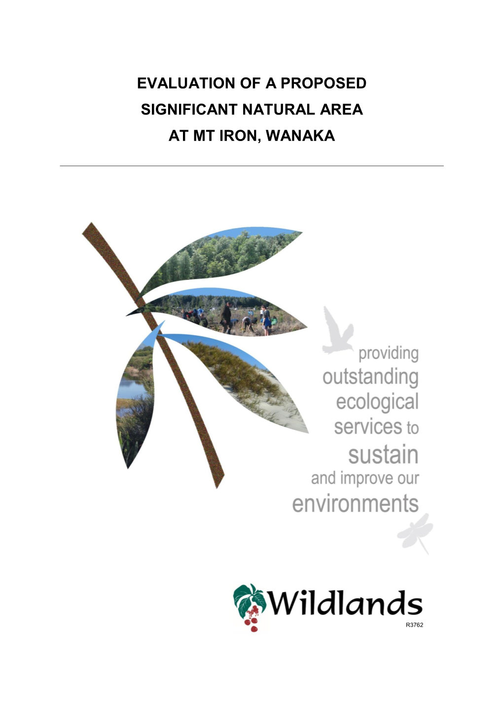 Evaluation of a Proposed Significant Natural Area at Mt Iron, Wanaka