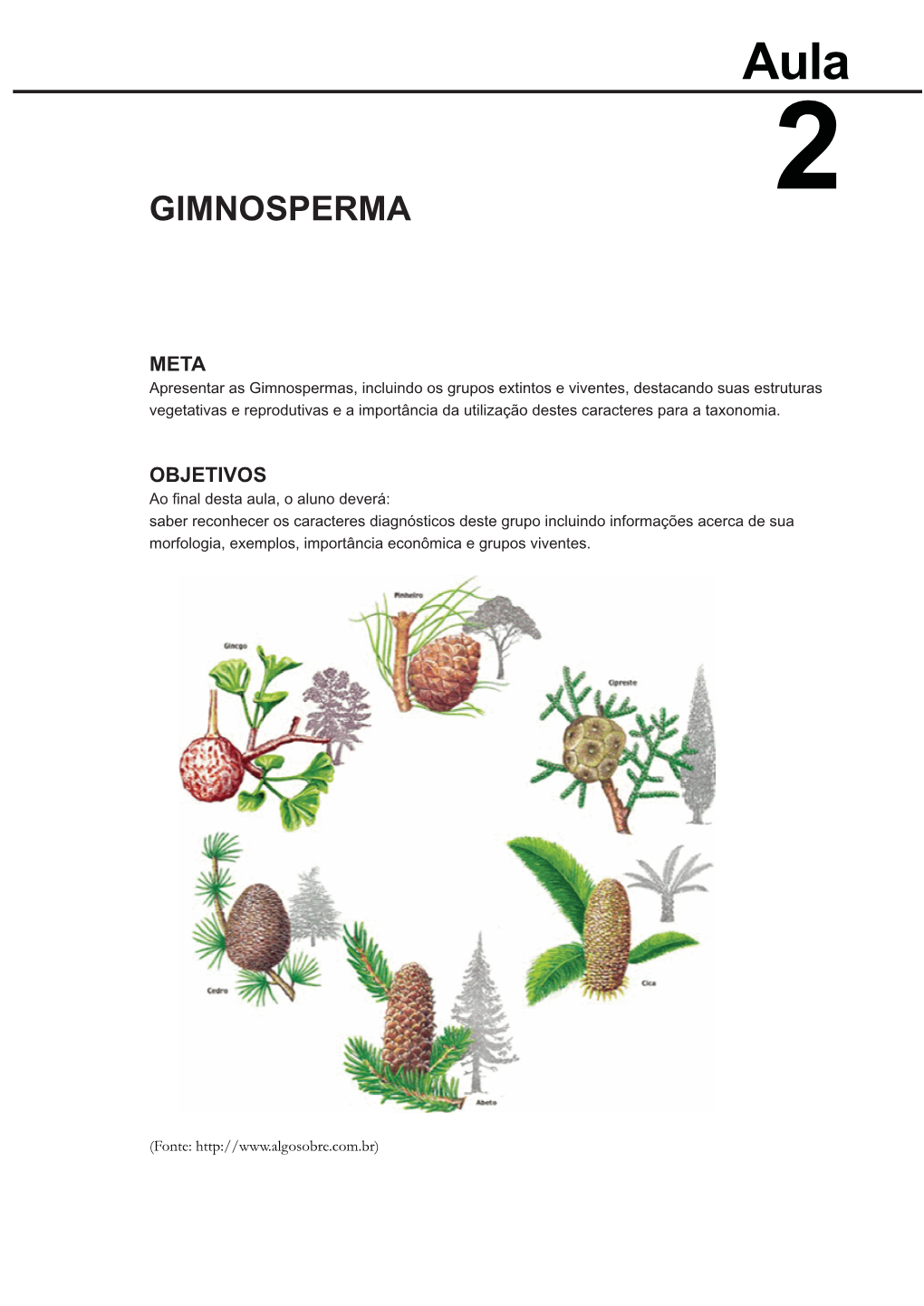 Botanica Sistematica E Economica.Indd