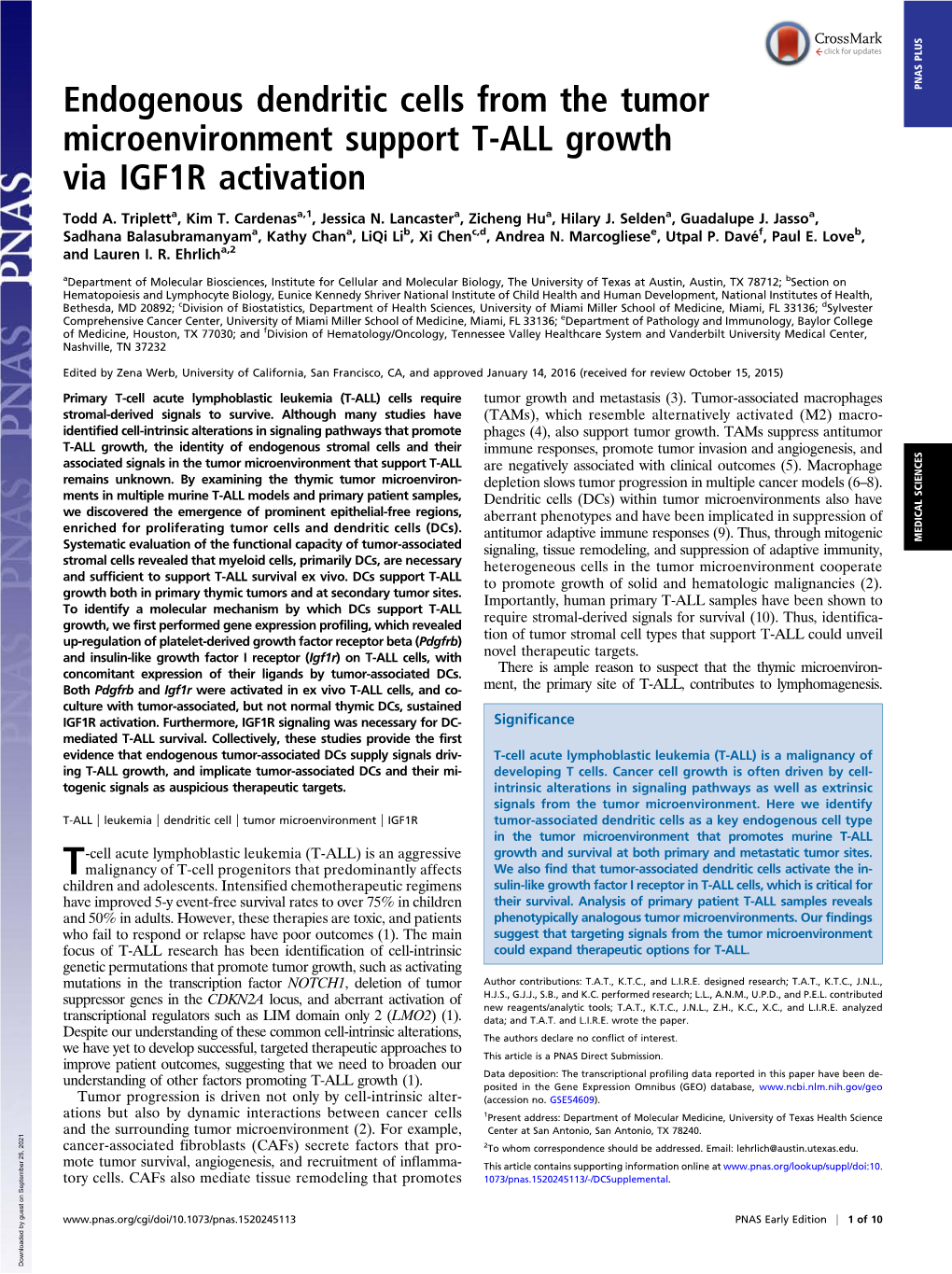 Endogenous Dendritic Cells from the Tumor Microenvironment Support T