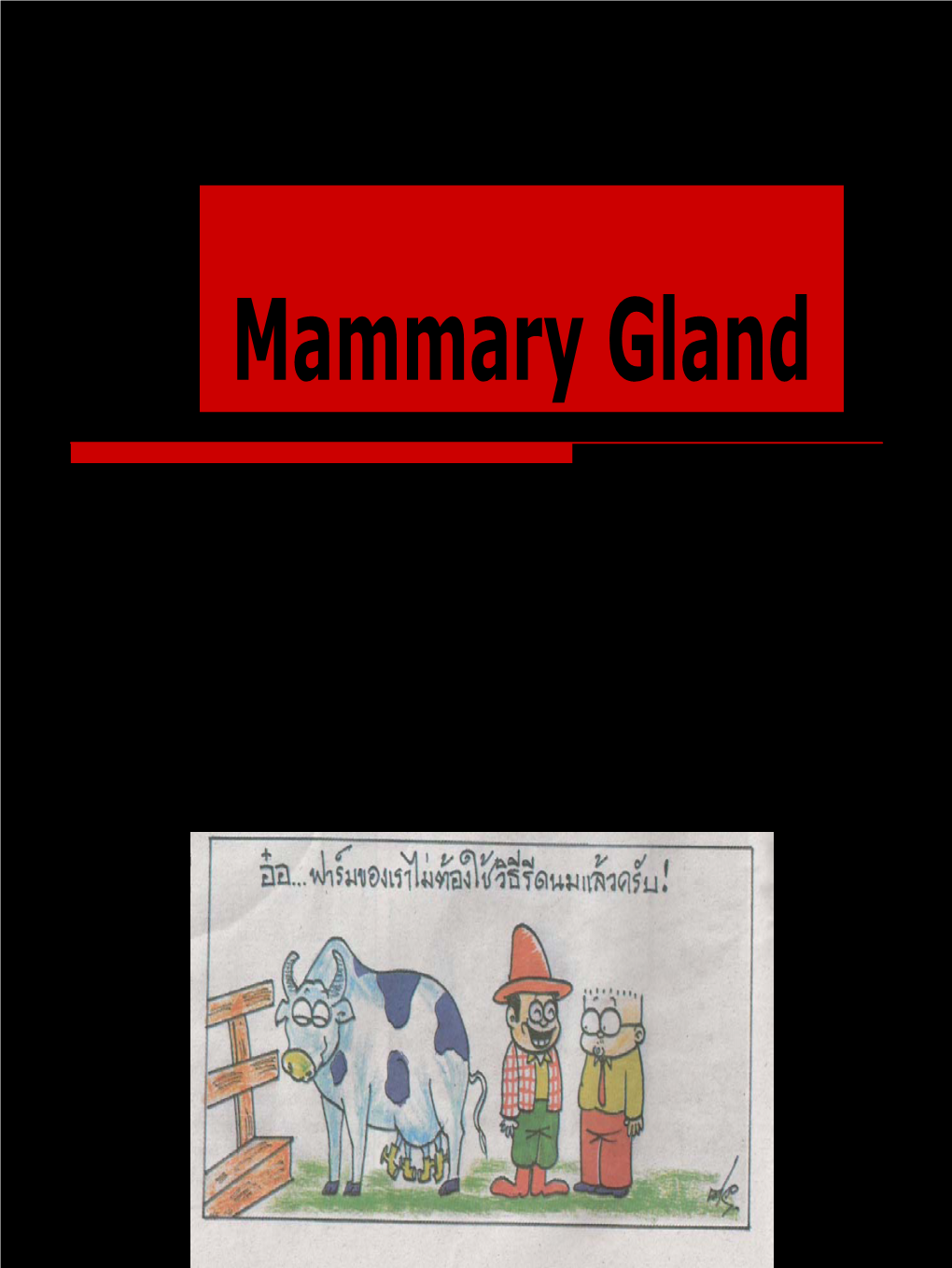 Mammary Gland