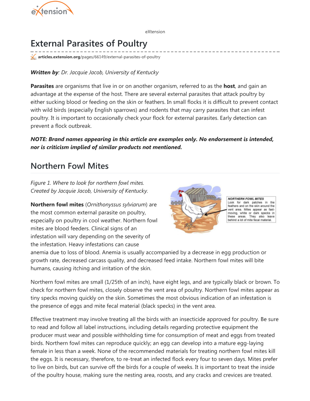 External Parasites of Poultry