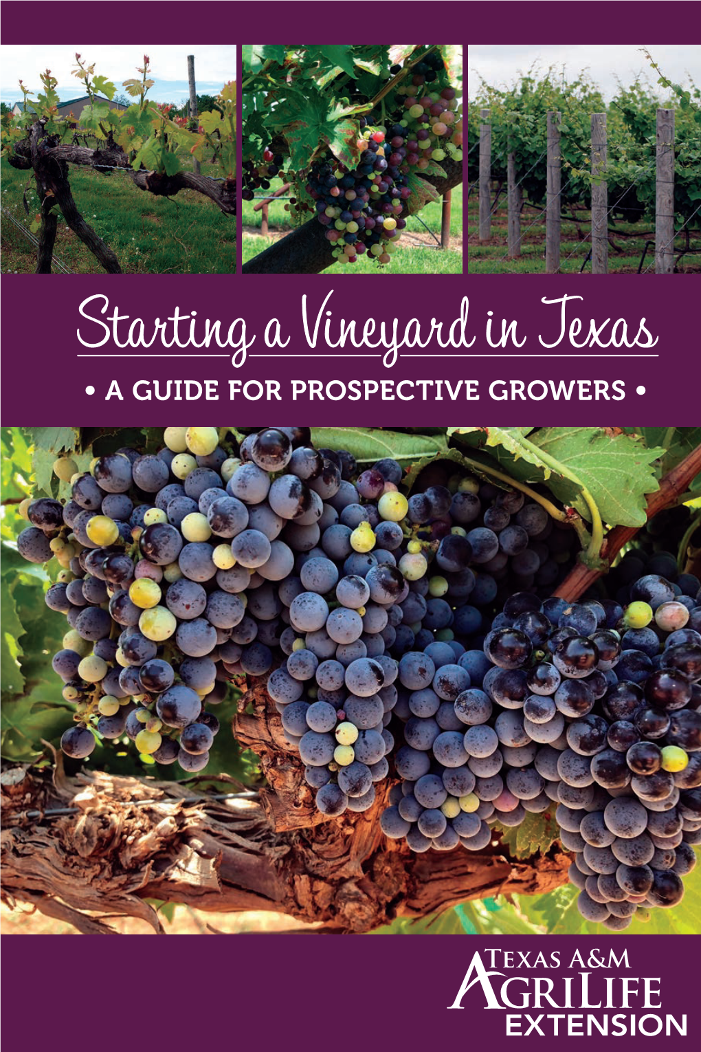 Starting a Vineyard in Texas • a GUIDE for PROSPECTIVE GROWERS •