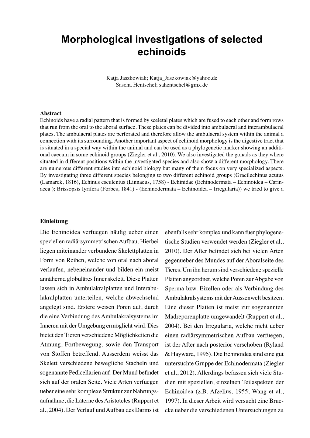 Morphological Investigations of Selected Echinoids